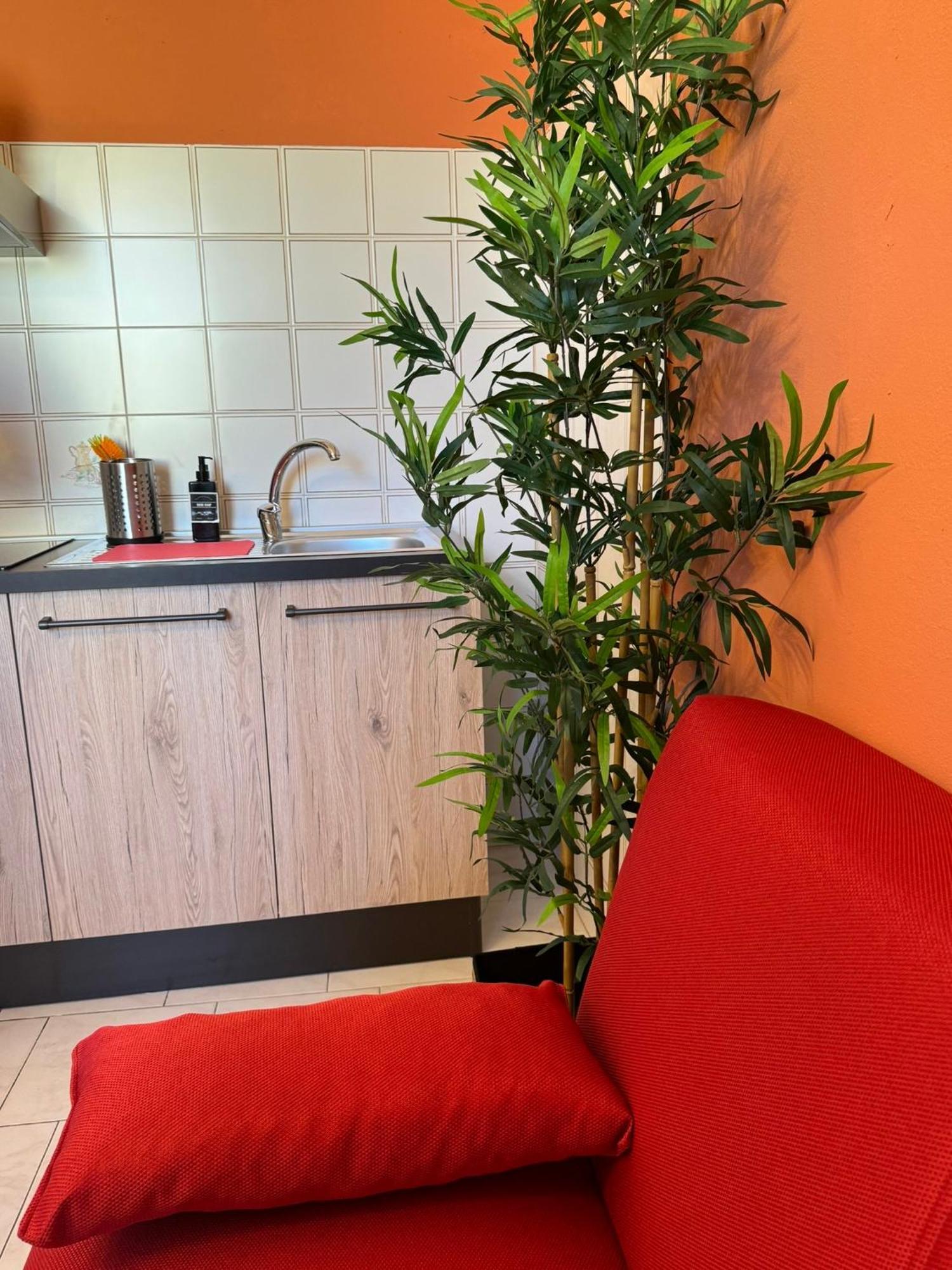 Colben Tuscany Home - Il Mare Dalla Finestra Nell'Atmosfera Tipica Livornese Livorno Exterior photo